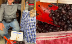 Tanesi 50 TL olan zeytin için Ticaret Bakanlığı harekete geçti